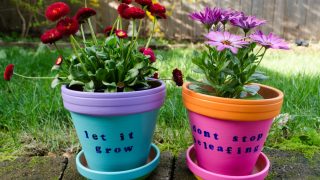 15+ Awesome Flower Pot Painting Ideas Kids can Make - Projects with Kids