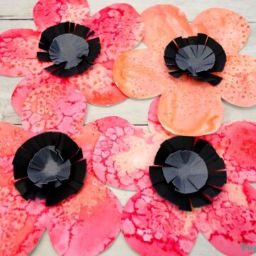 red watercolor poppy art with black and grey paper centers.
