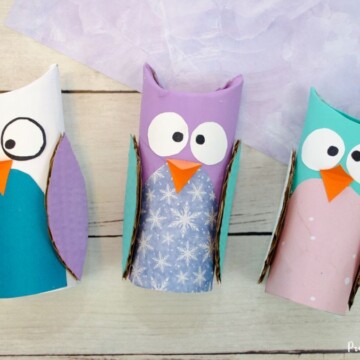 Toilet paper roll owl craft for kids to make