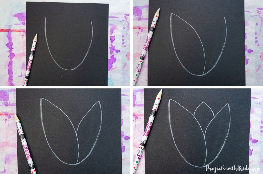 how to draw a tulip