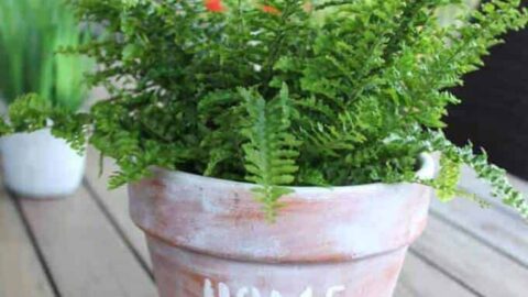 Image for Stencils for Flower Pots: Create a Pretty Planter ⋆ Love Our Real Life
