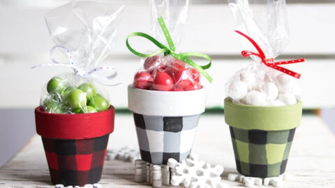 Image for Buffalo Plaid Painted Pots (with video tutorial)