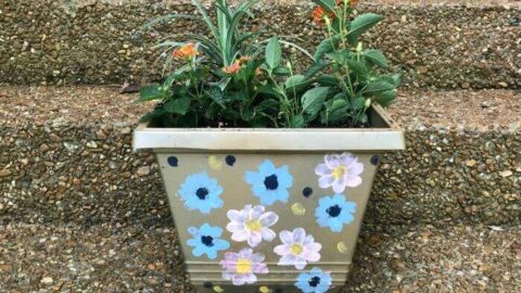 Image for Adorable DIY Painted Flower Pots Craft for Kids