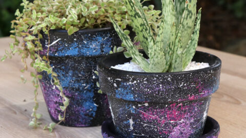 Image for Galaxy painted pot