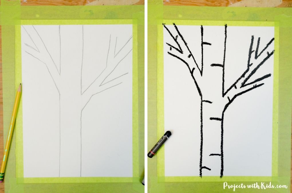 Drawing a birch tree and tracing it with black oil pastel.
