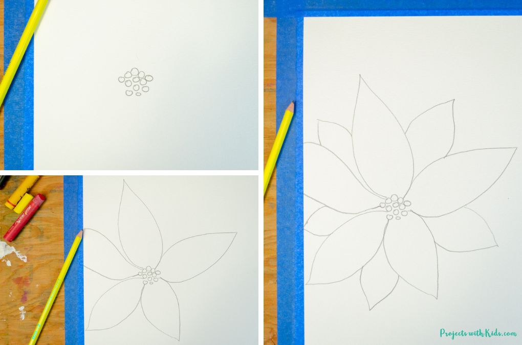 Starting to draw a poinsettia flower with pencil.