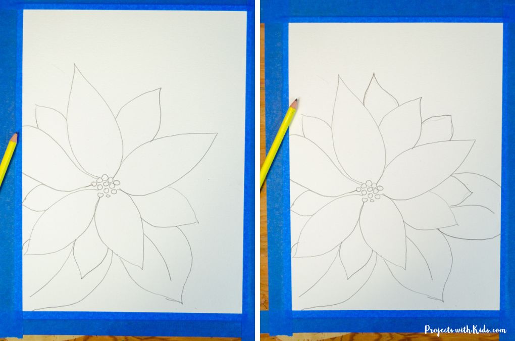 Showing how to draw a poinsettia flower.