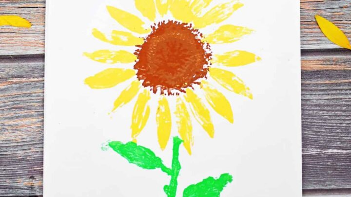Sunflower art project for preschool and kindergarten using parts of a real sunflower.